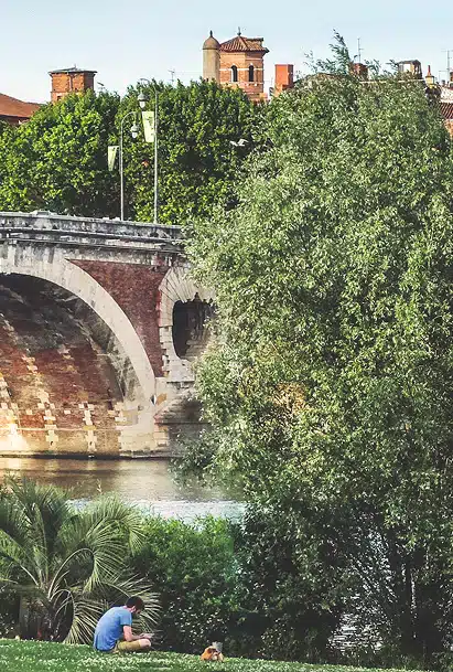 animation toulouse